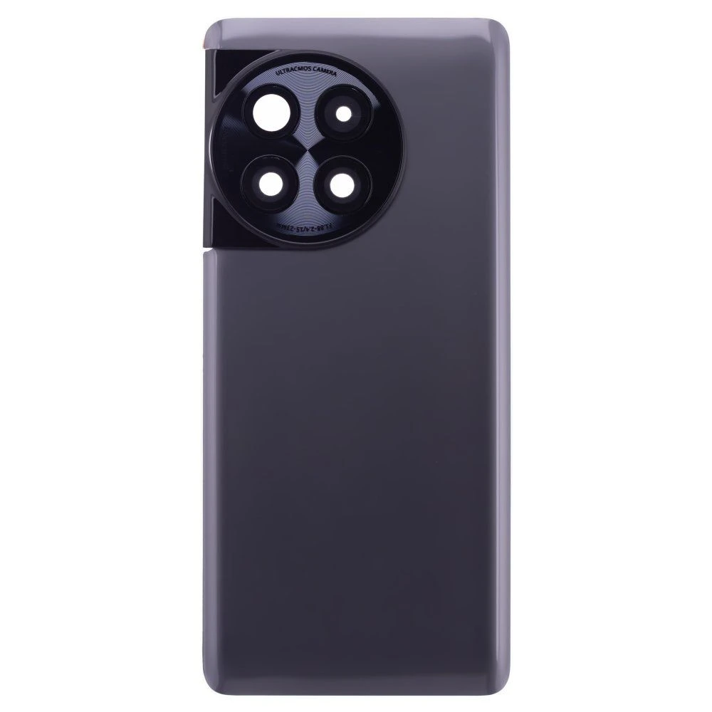 Задняя крышка для OnePlus Ace 2 Pro (PJA110) (серый) (в сборе со стеклом камеры)