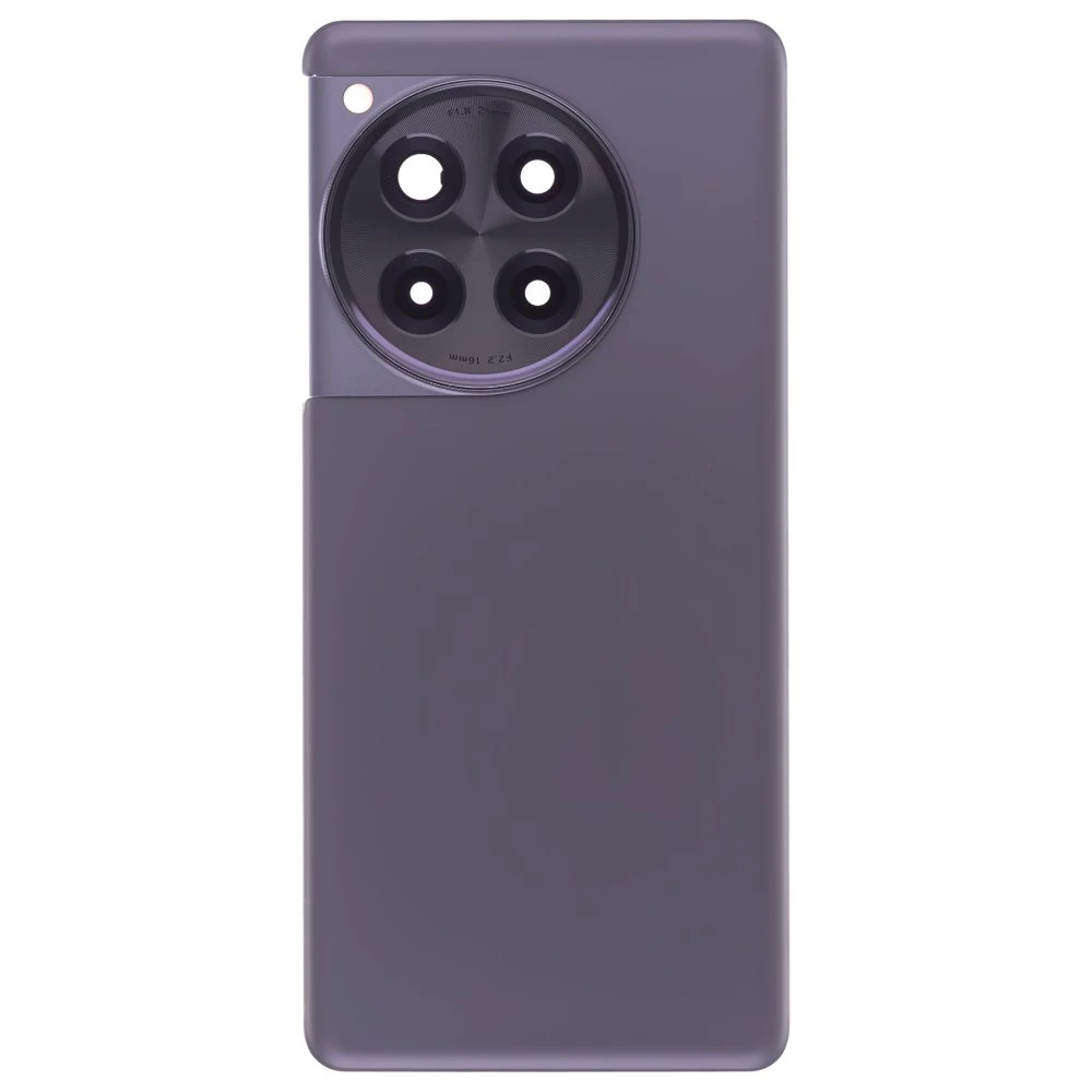Задняя крышка для OnePlus 12R (CPH2609) (серый) (в сборе со стеклом камеры)