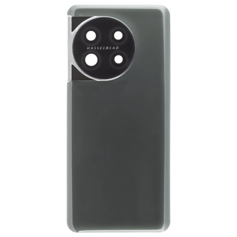 Задняя крышка для OnePlus 11 (CPH2449) (зеленый) (в сборе со стеклом камеры)