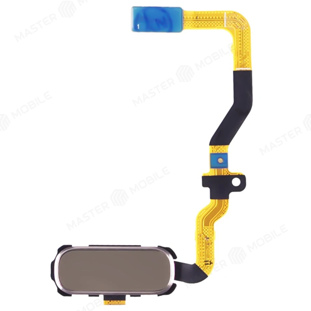 Шлейф для Samsung G930 Galaxy S7 с комп. + сканер отпечатка пальца (золотистый)  фото №1