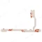 Шлейф для OPPO A18 (CPH2591) / A38 (CPH2579) / A58 4G (CPH2577) с комп. (на кнопку включения и кнопки громкости) фото №2