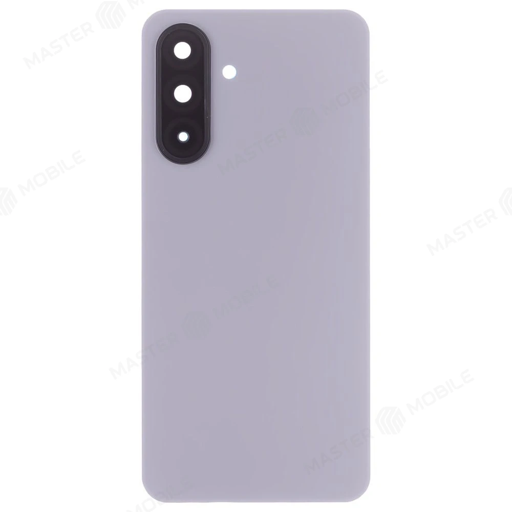 Задняя крышка для Samsung A175 Galaxy A17 4G (серебристый) (в сборе со стеклом камеры)  фото №1