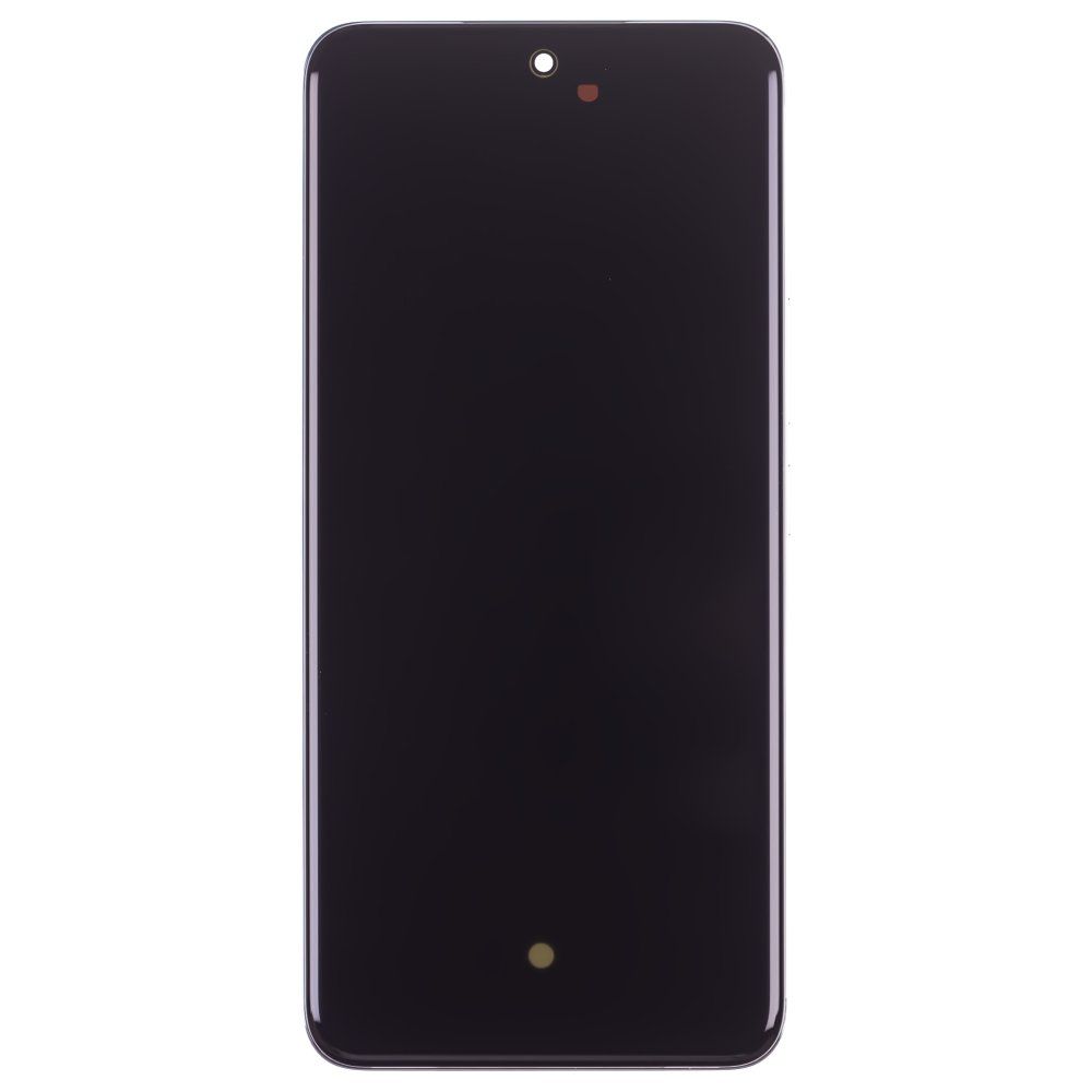 Дисплей для Huawei Honor 200 (ELI-NX9) + тачскрин (зеленый) (в рамке) (ORIG100) (SP)