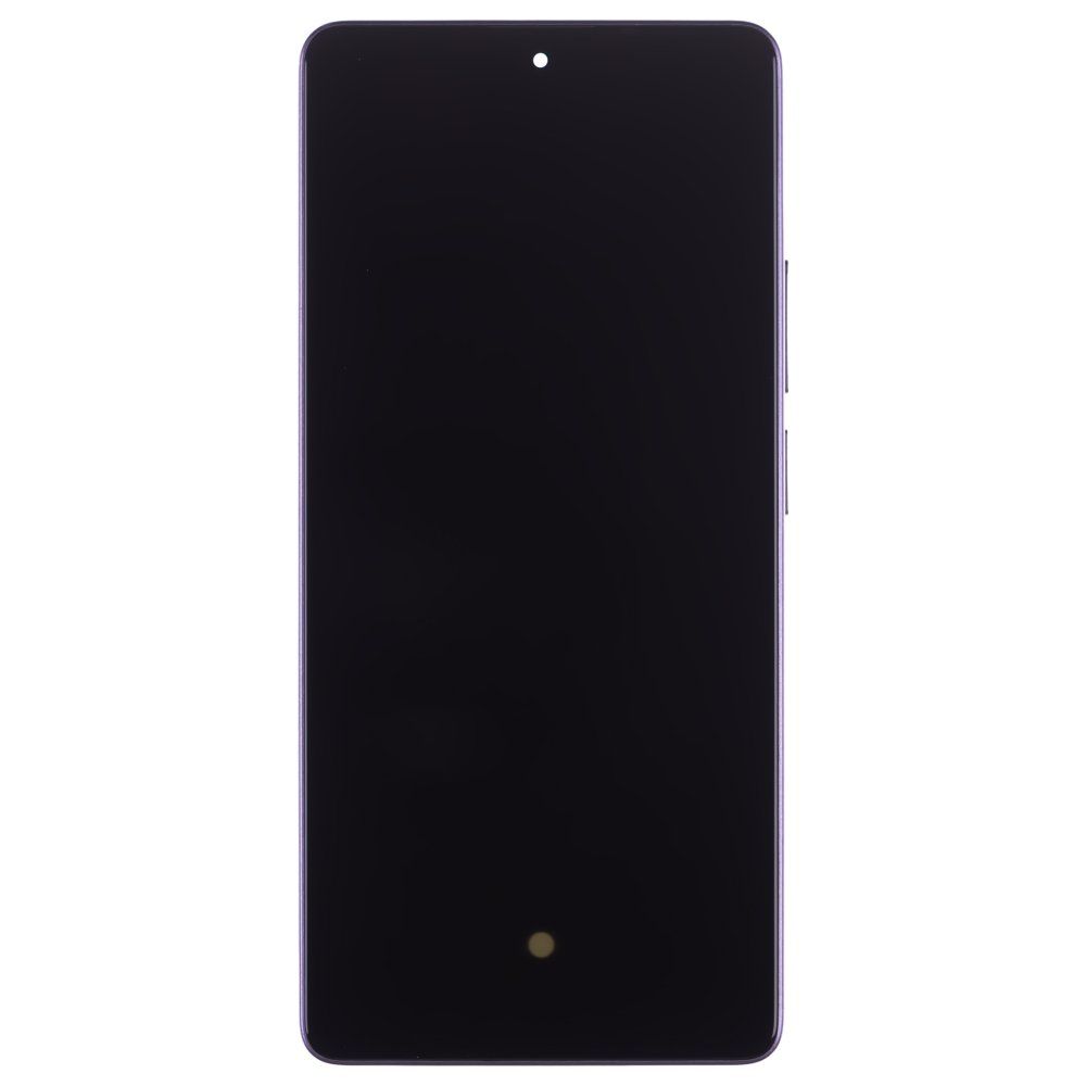 Дисплей для Xiaomi Poco M6 Pro 4G (2312FPCA6G) + тачскрин (фиолетовый) (в рамке) (ORIG100) (SP)