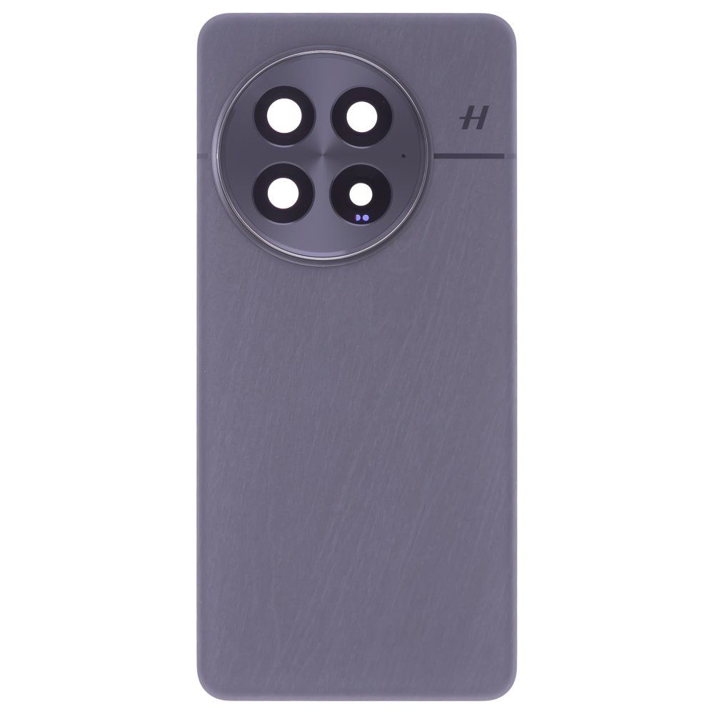 Задняя крышка для OnePlus 13 (CPH2653) (черный) (в сборе со стеклом камеры)