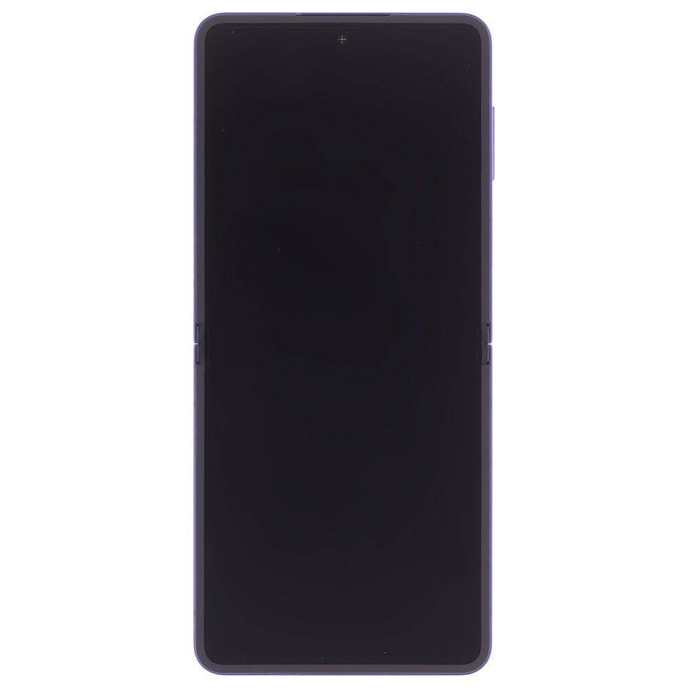 Дисплей для Samsung F766 Galaxy Z Flip 7 + тачскрин (внутренний) (синий) (в рамке) (ORIG100) (SP)