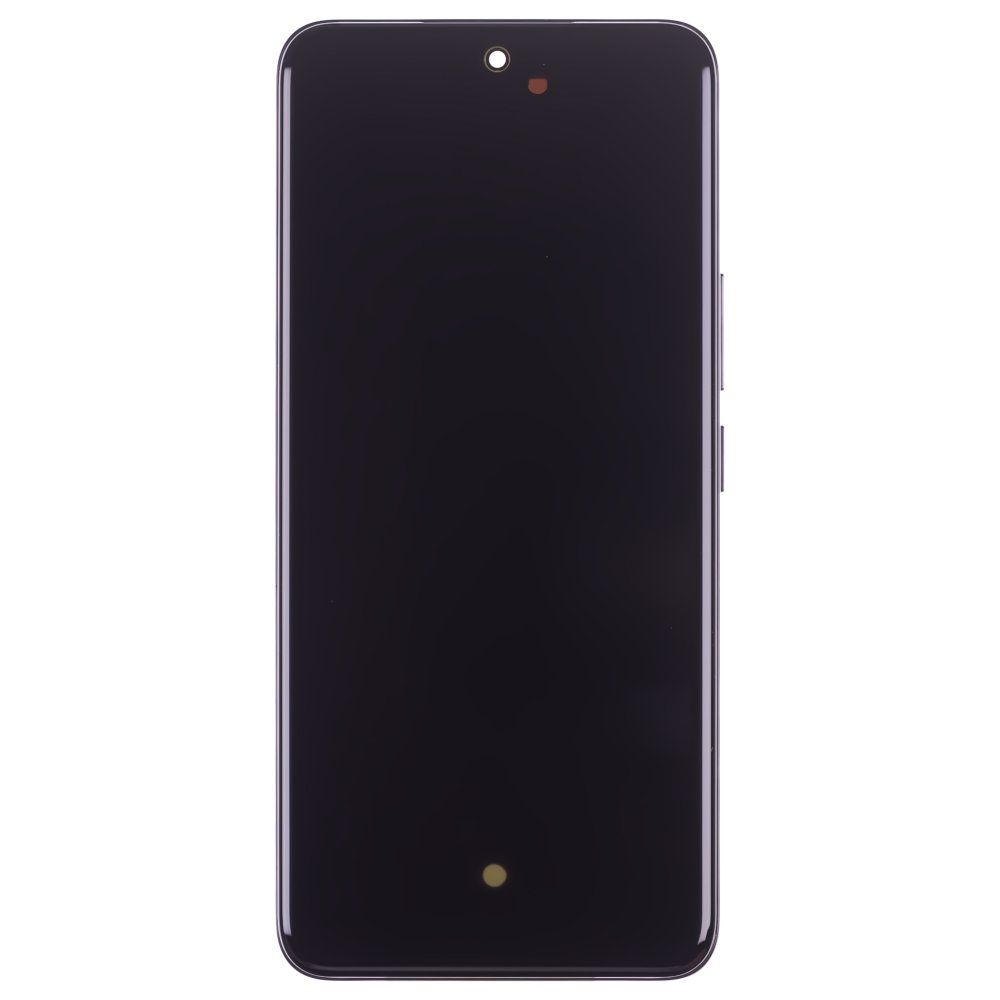 Дисплей для Huawei Honor 200 (ELI-NX9) + тачскрин (черный) (в рамке) (ORIG100) (SP)