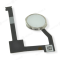 Кнопка (механизм) Home для Apple iPad Air 2 (A1566/A1567) / iPad mini 4 (A1538/A1550) (в сборе) (белый) фото №1