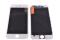 Стекло модуля для Apple iPhone 6 Plus + OCA + Polaris (белый) (в рамке) фото №1